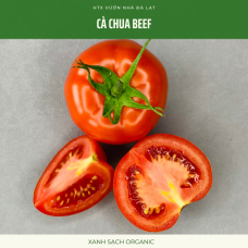 Cà chua Beef