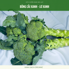 Bông cải xanh