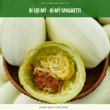 Bí Sợi Mỳ - Bí Mỳ Spaghetti