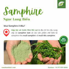 Muối Tiêu Samphire - Samphire Pepper Salt (50g)