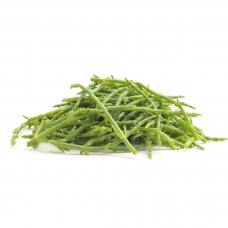 Ngọc Long Biển - Samphire