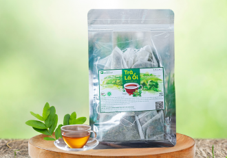 Trà Lá Ổi - Tinh Vị An Nhiên Từ Tán Lá Xanh