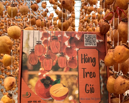 Vườn Hồng Treo Gió