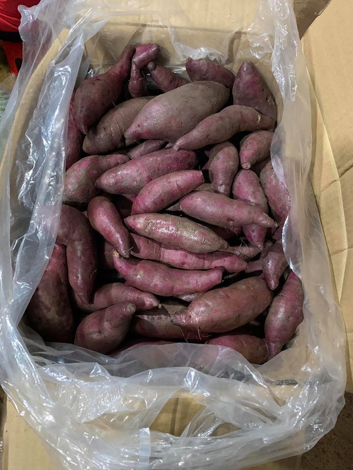 Khoai Lang Tím Đà Lạt