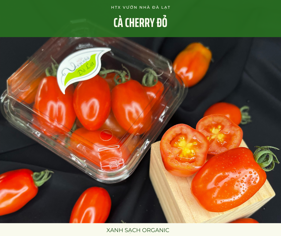 Cà Chua Cherry Đỏ