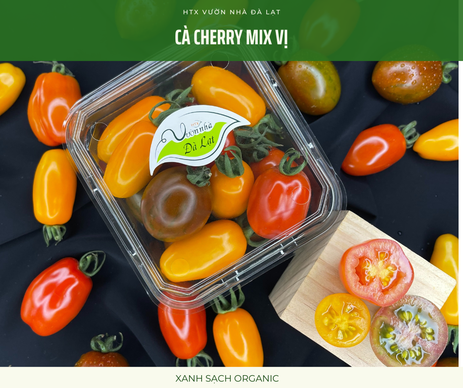Cà Chua Cherry Mix Vị