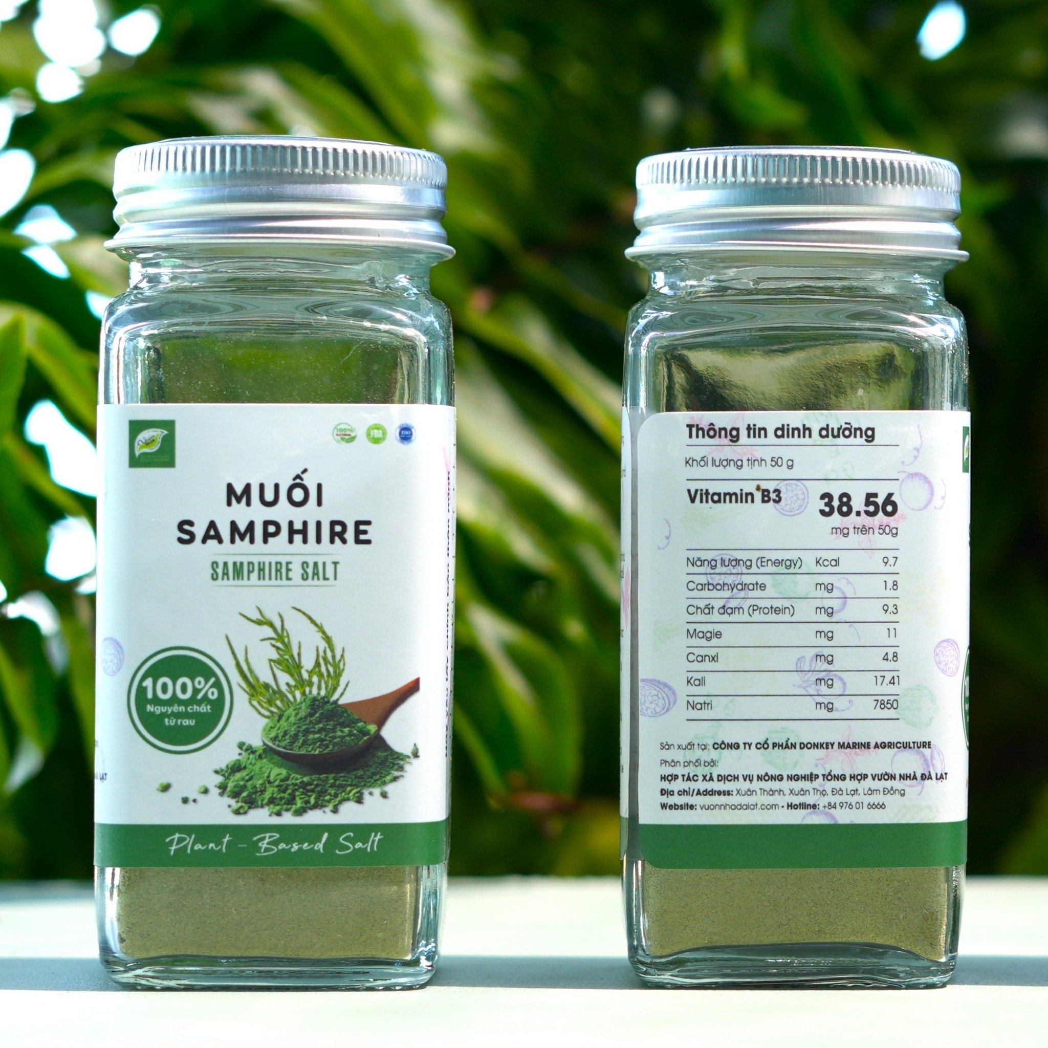 Muối Samphire - Samphire Salt (50g)