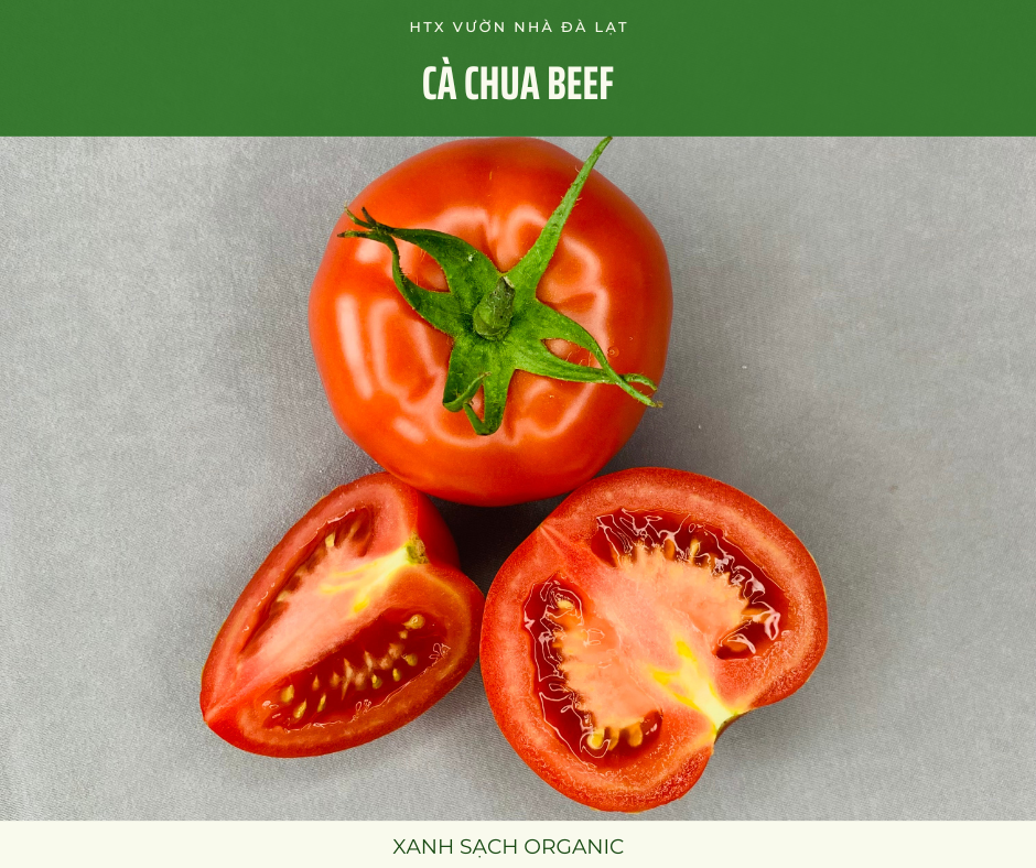 Cà chua Beef