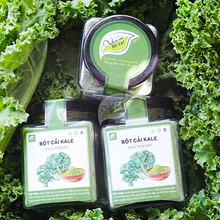 Bột Cải Kale (Cải Xoăn)