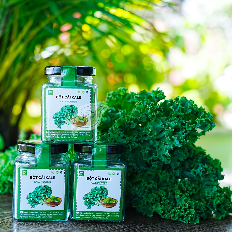 Bột Cải Kale (Cải Xoăn)