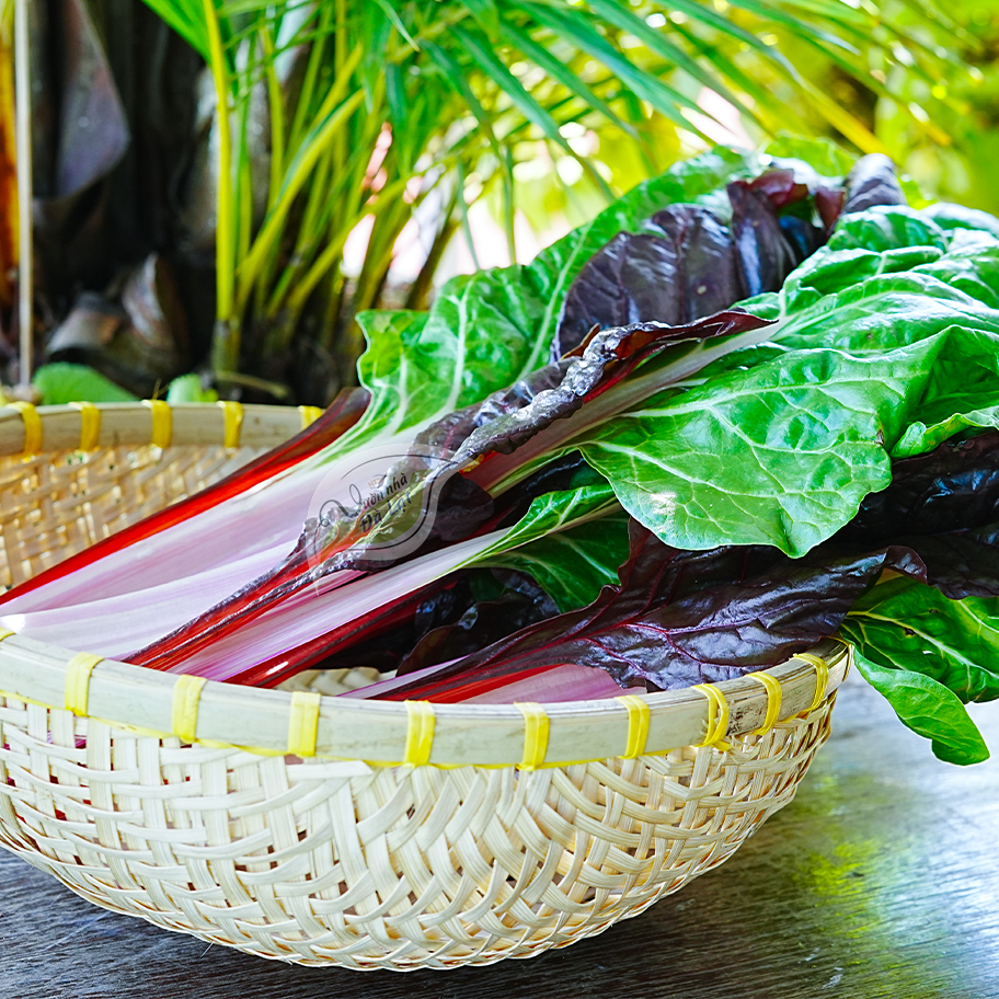 Cải Cầu Vồng