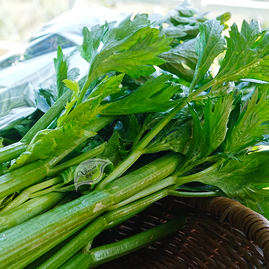 Cần Tây Tươi