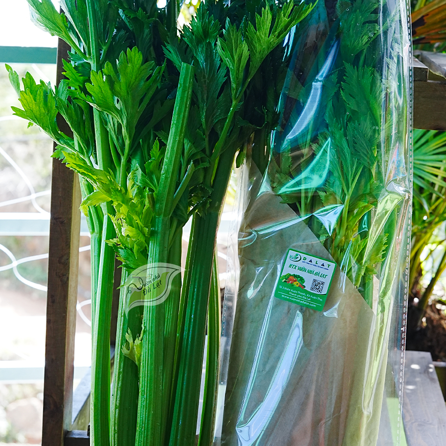 Cần Tây Tươi