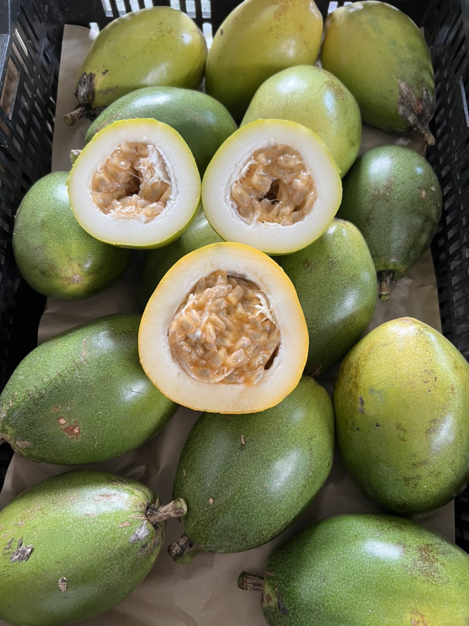 Chanh Dây Mỹ