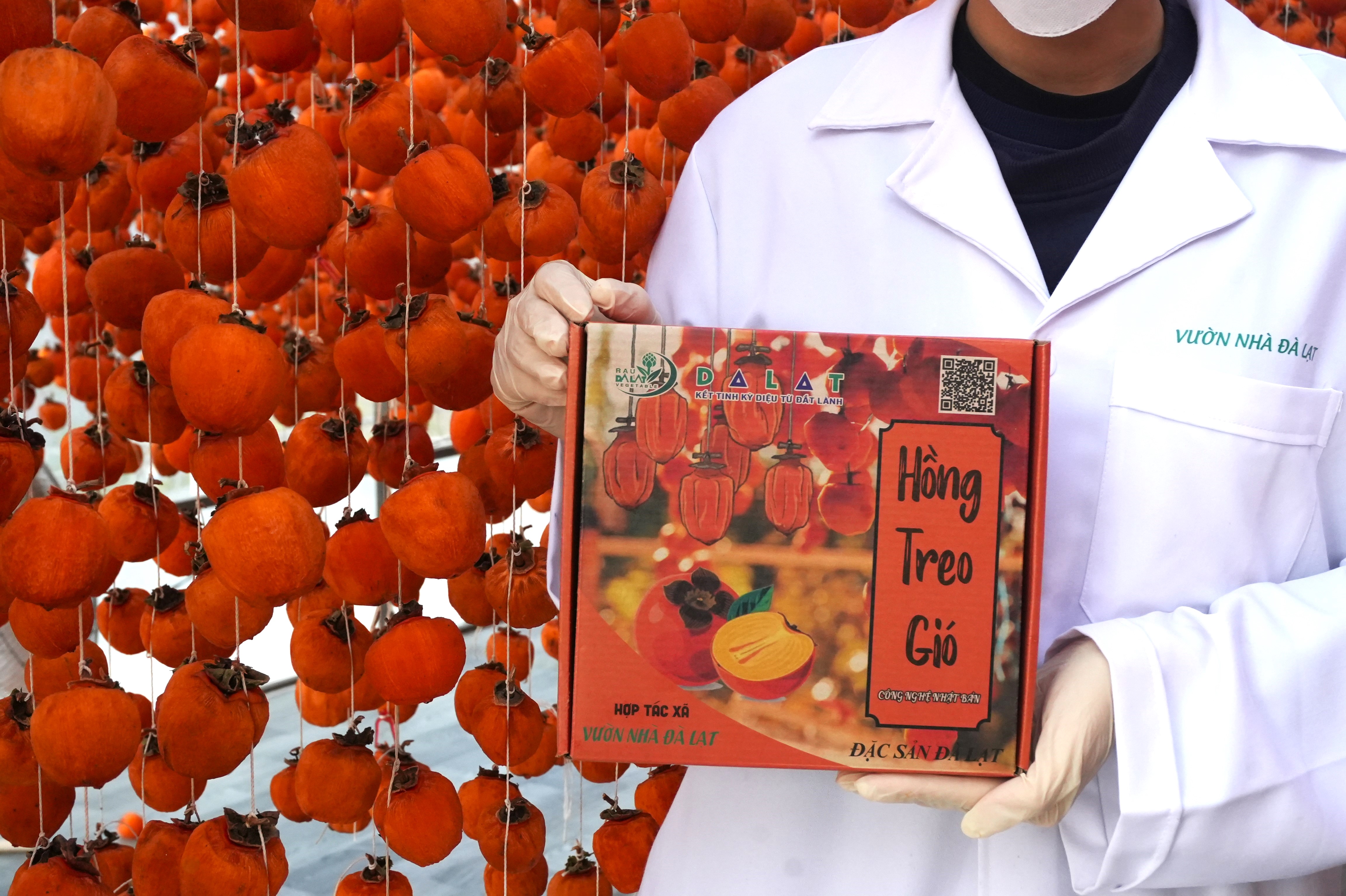 Hồng Treo Gió
