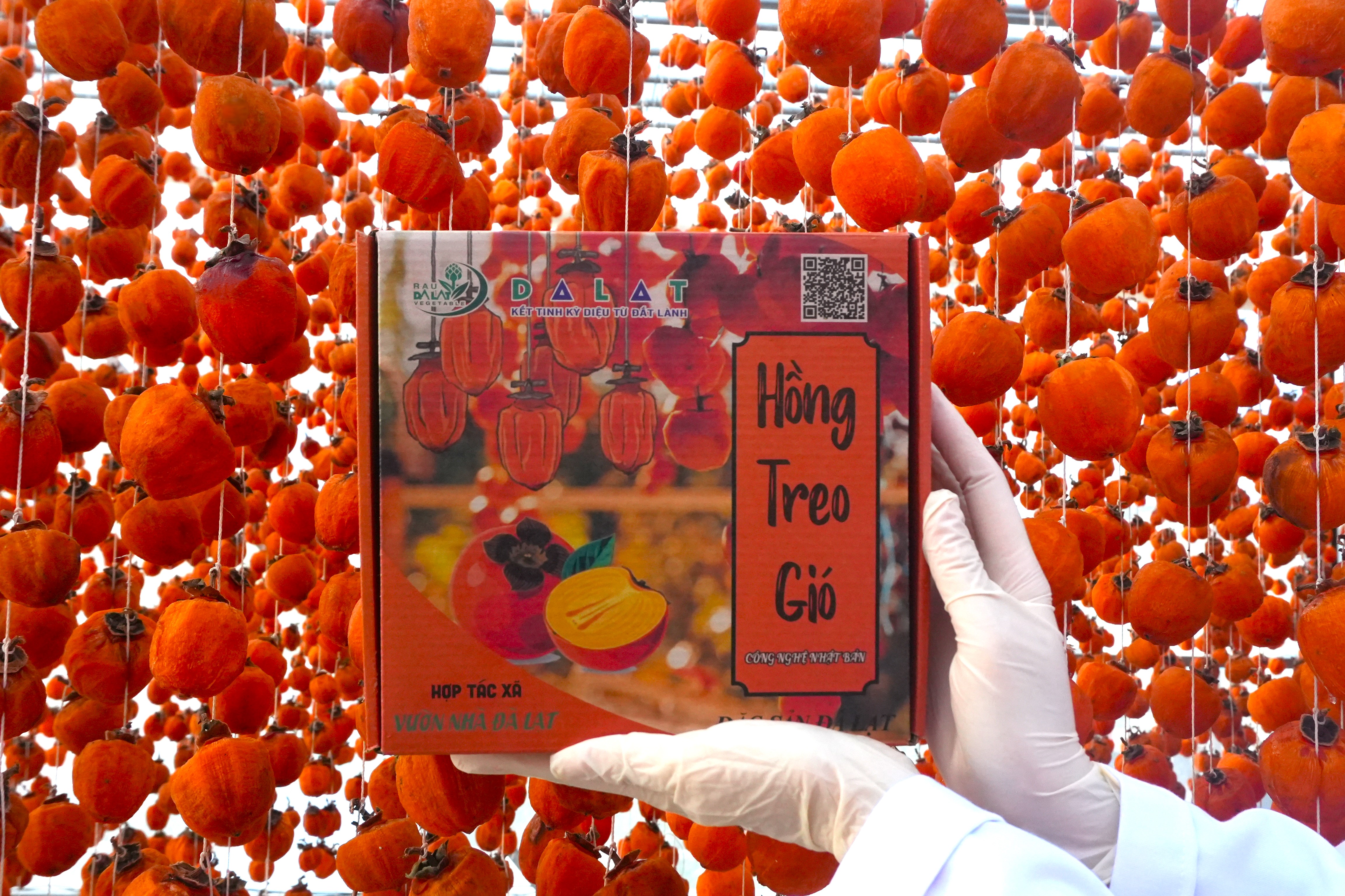 Hồng Treo Gió