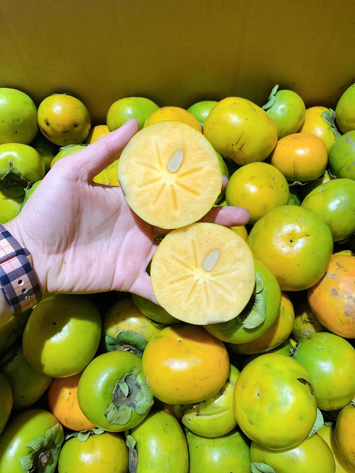 Hồng Giòn Tự Nhiên Của Vùng Cầu Đất- Đà Lạt