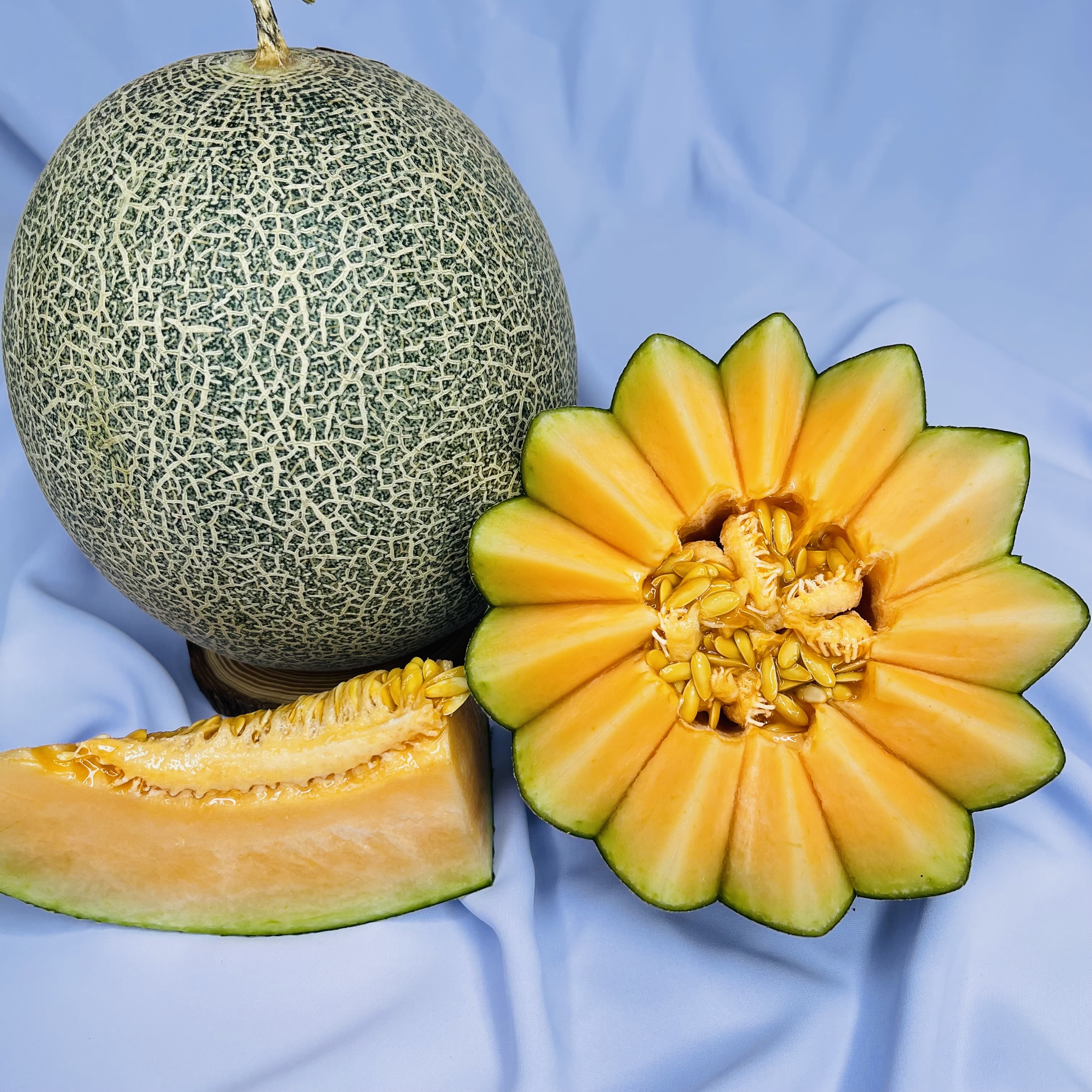 Dưa Lưới Biển Hằng Nga