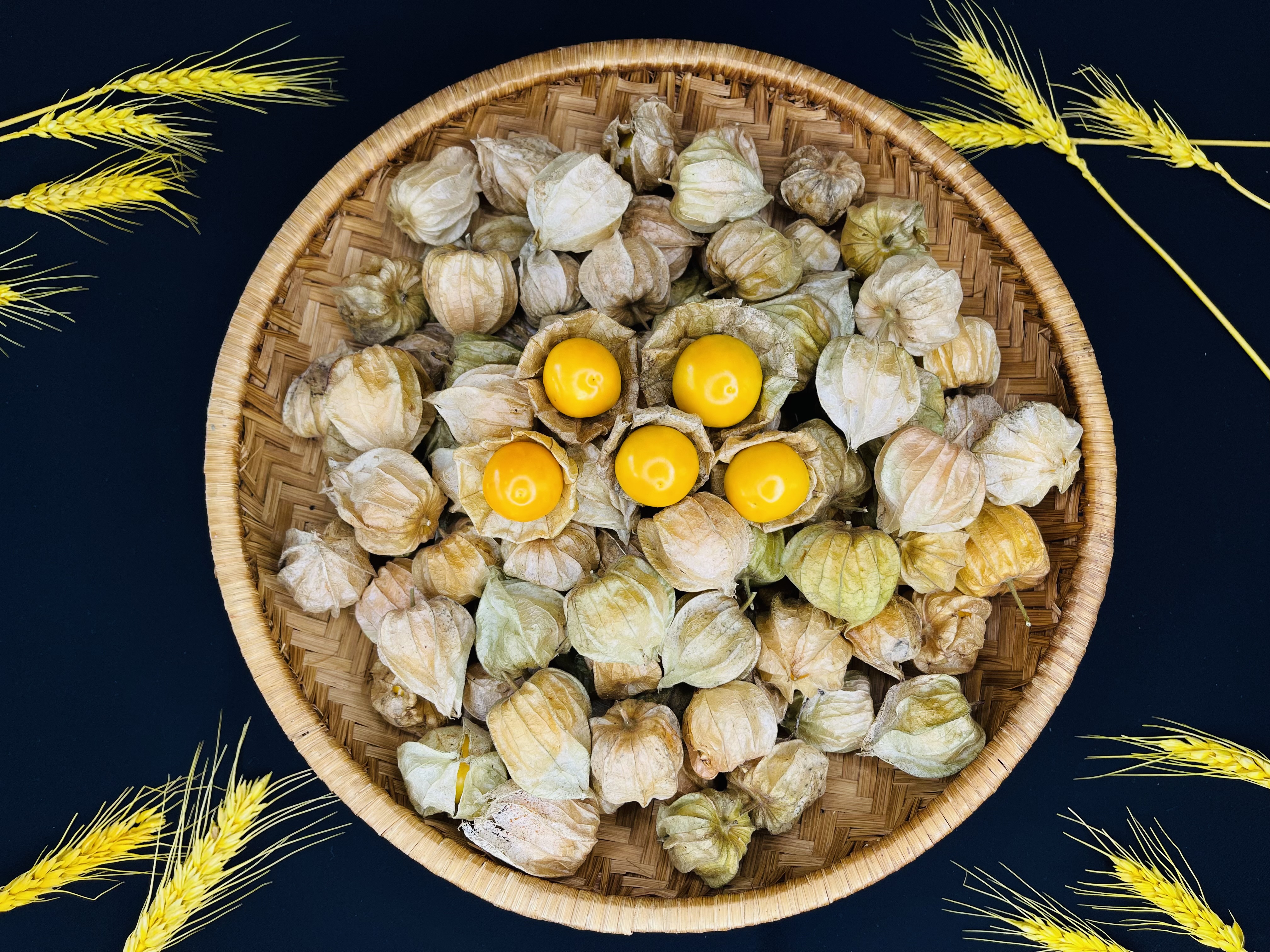Quả Tầm Bốp (Thù Lù)