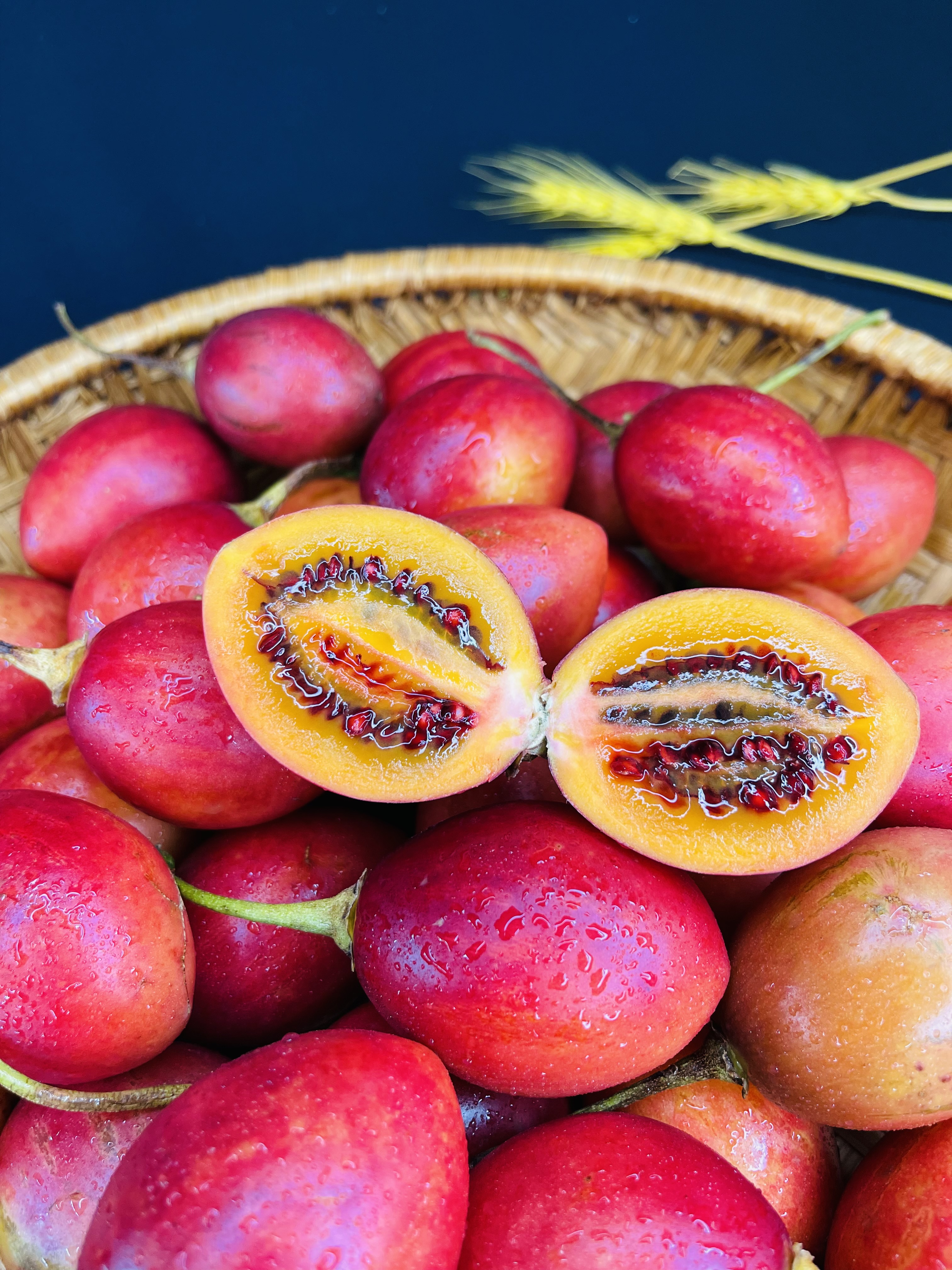 Cà Chua Thân Gỗ