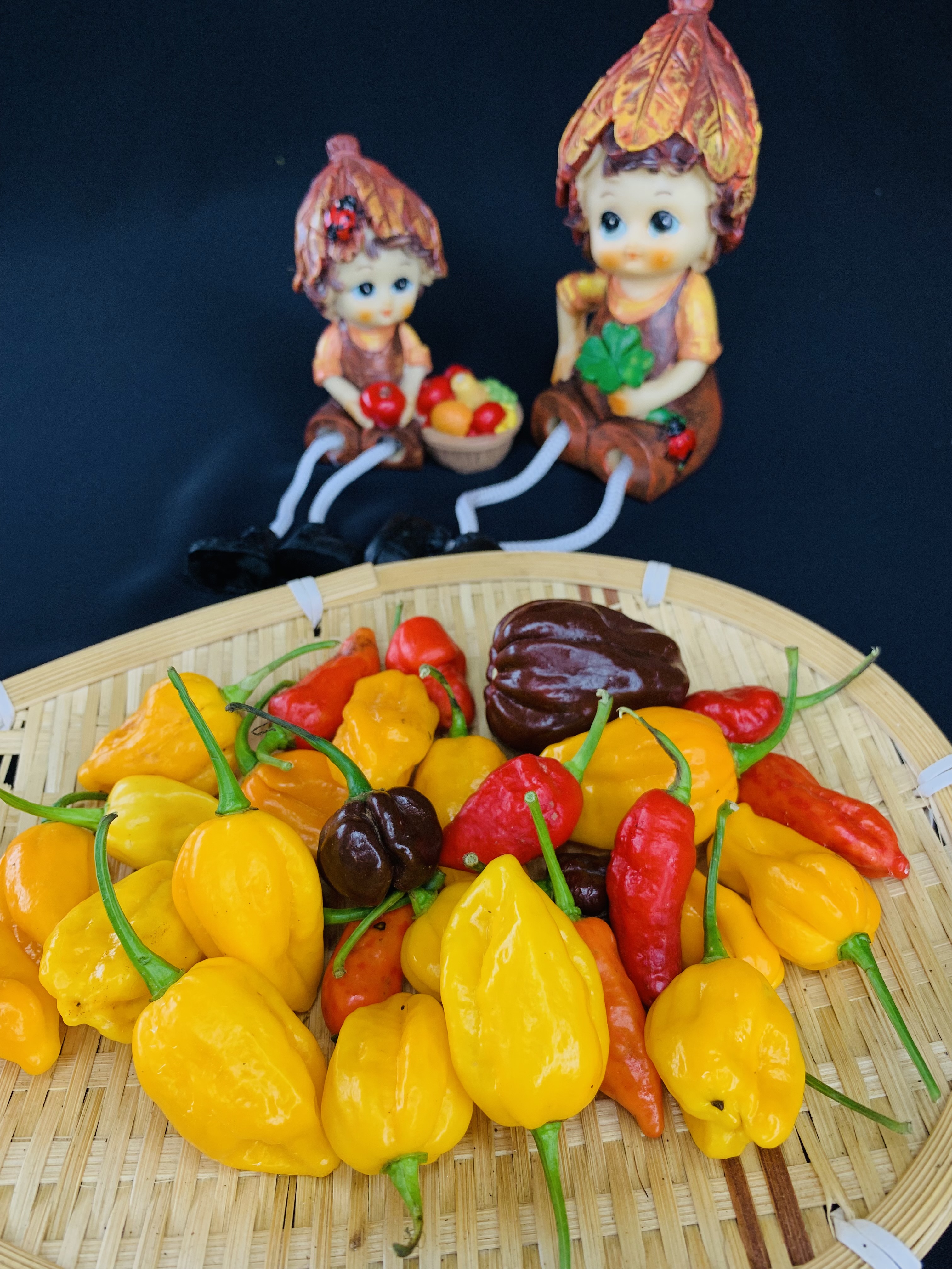 Ớt Habanero - Ớt Cay Và Thơm Nhất Thế Giới