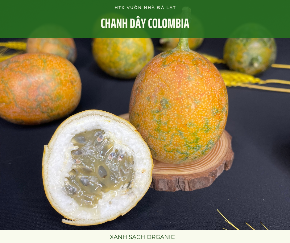 Chanh Dây Colombia - Chanh Leo