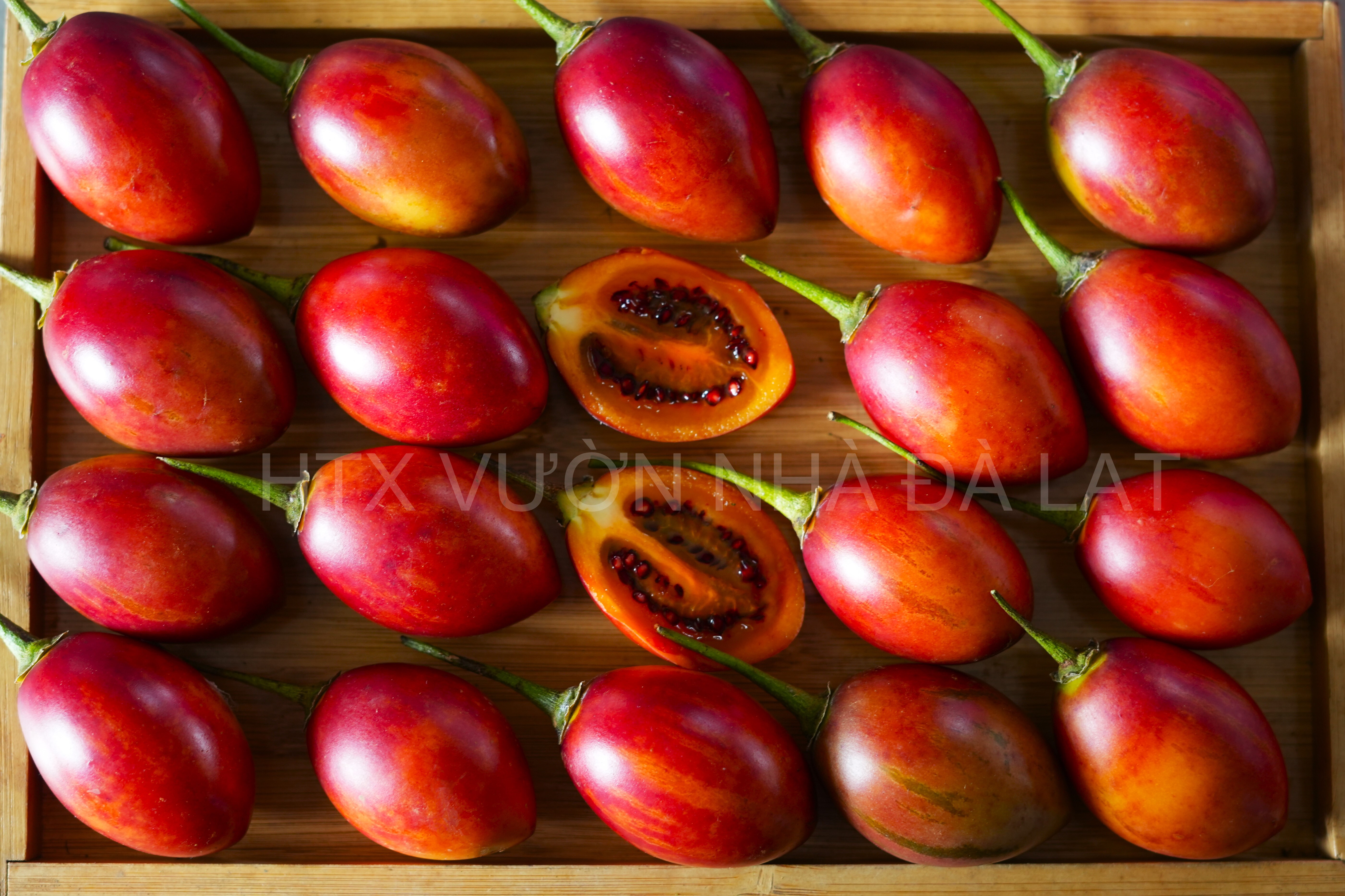 Cà Chua Thân Gỗ