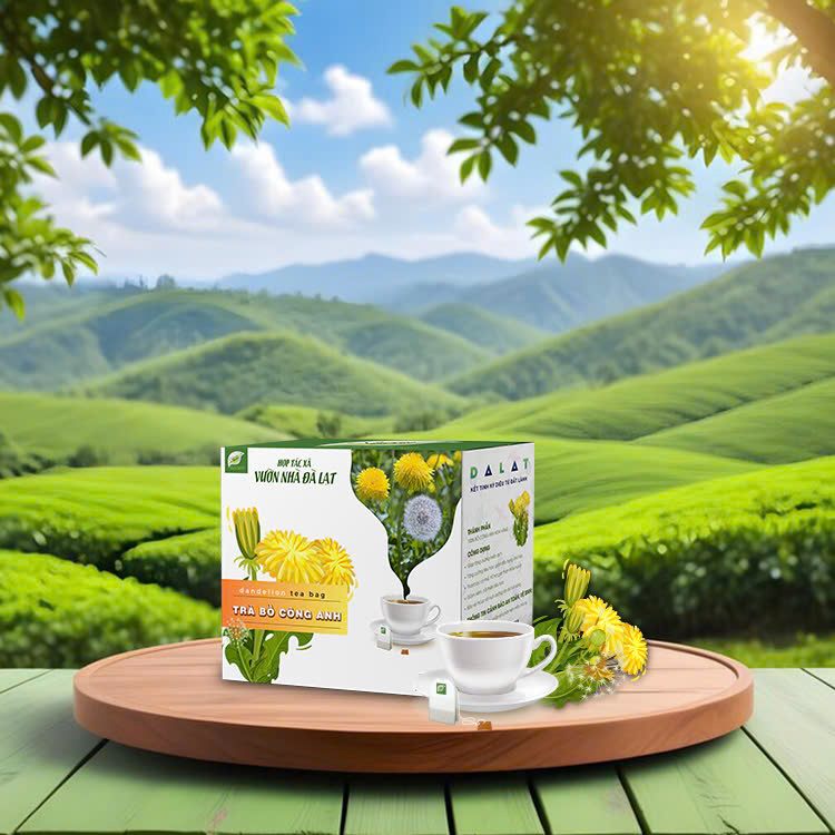Trà Bồ Công Anh Túi Lọc (30 túi x 2gr)