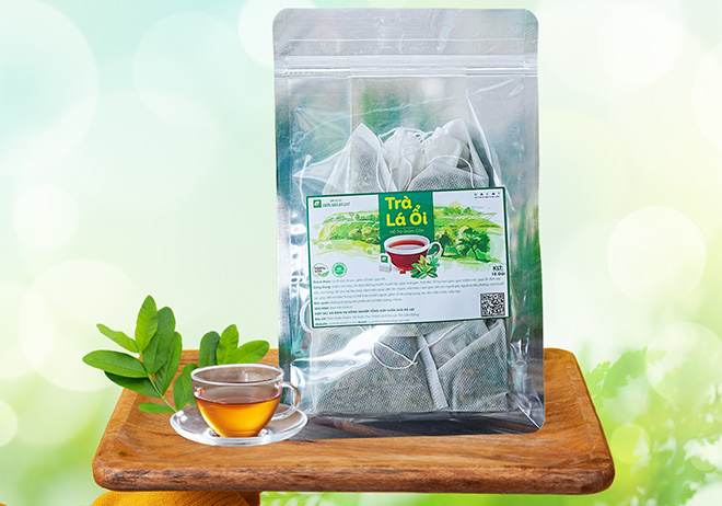 Lá Ổi Và Bí Quyết Từ Thiên Nhiên Cho Một Cơ Thể Khỏe Mạnh, Thon Gọn
