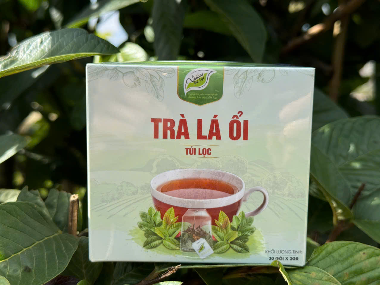 Trà Lá Ổi - Hộp 30 túi lọc