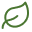 2000